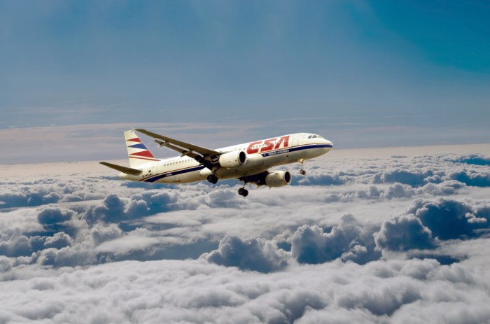 Air Travel Free Stock Photo - Public Domain Pictures