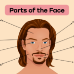 Parts of Speech คืออะไร? บทความสรุป Parts of Speech